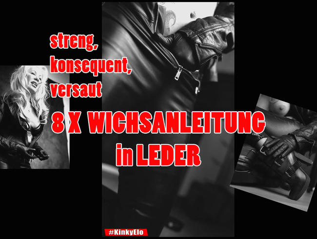 Unglaublich! 8 Wichsanleitungen in Leder!!!