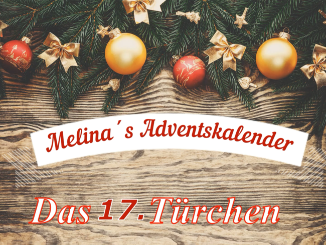 Adventskalender Türchen Nr.17